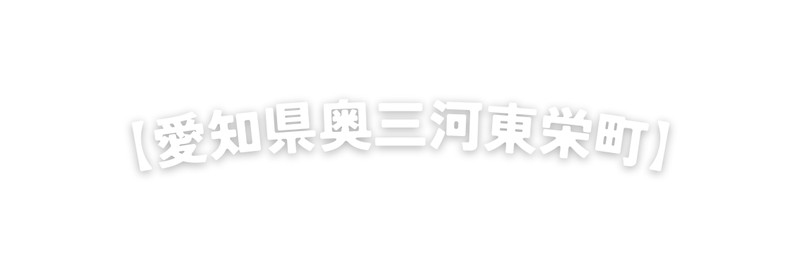 愛知県奥三河東栄町